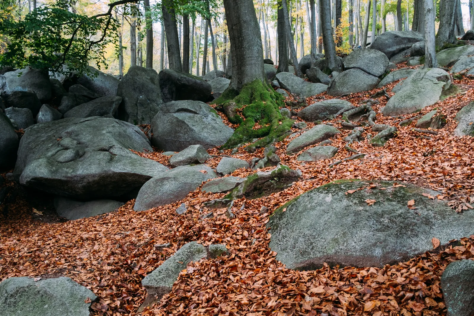 Neckarsteig – Wanderweg mit Blick über das Neckartal