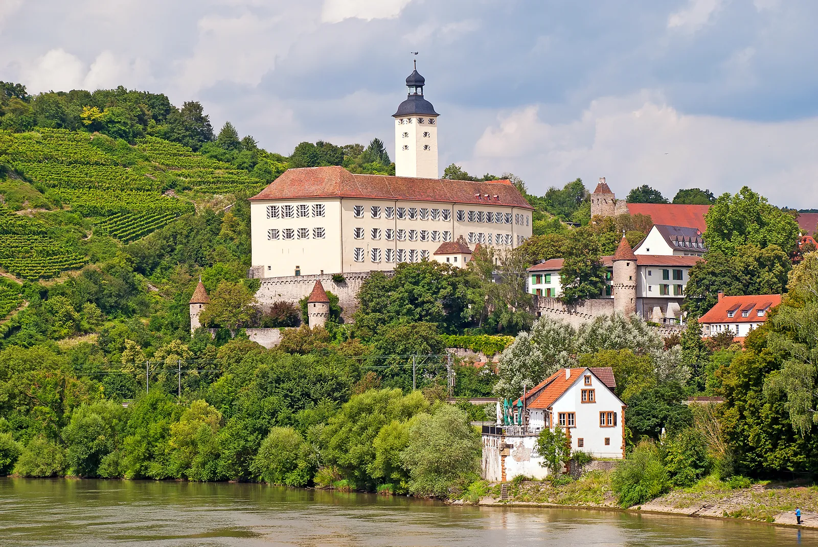 Schloss Horneck in Gundelsheim mit Turm, Weinbergen und Neckar